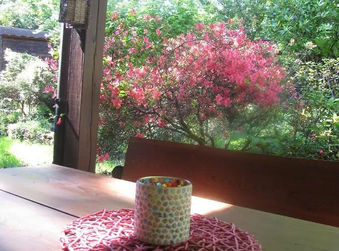 Semesterbostad Edersee